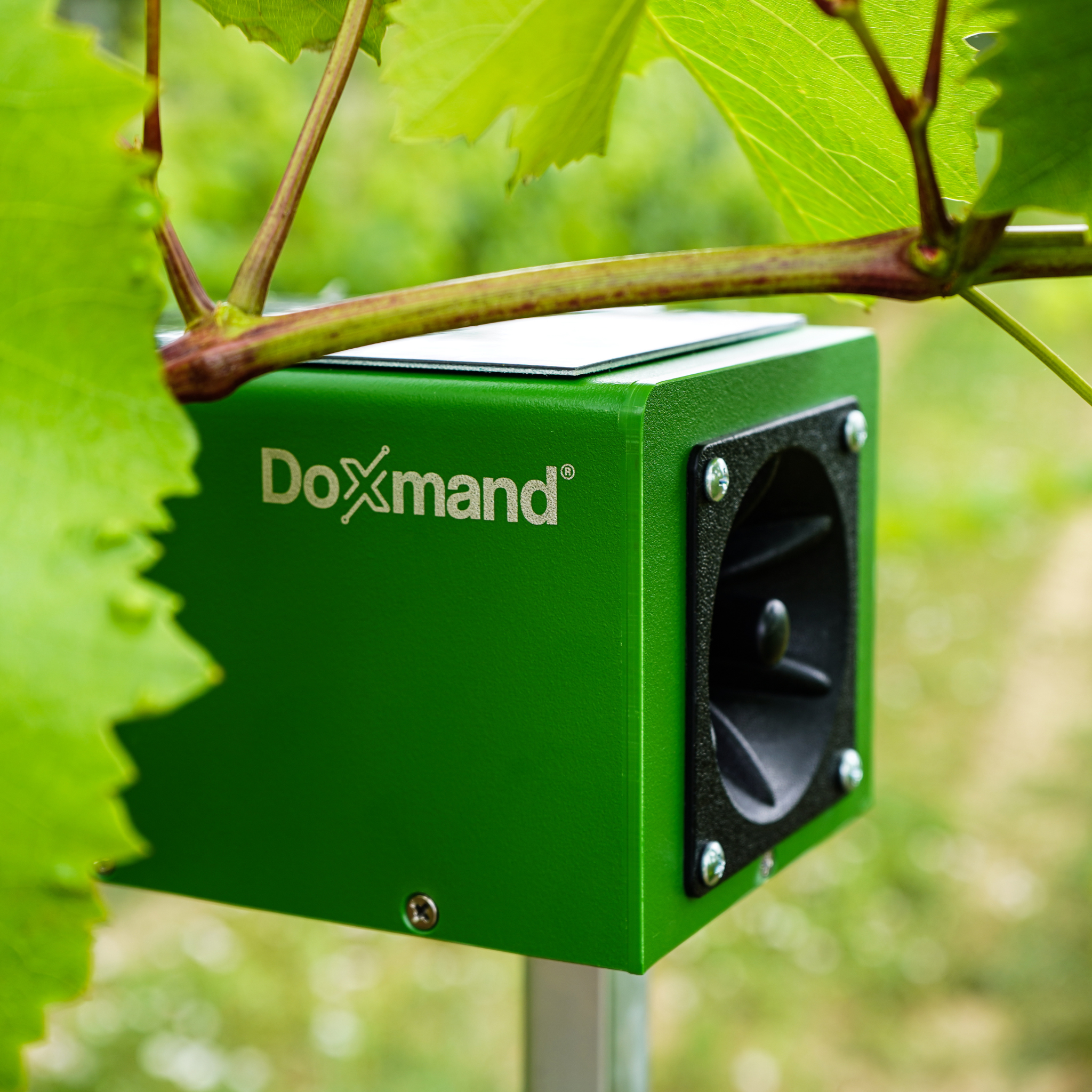 Odstraszacz ultradźwiękowy Doxmand Dual