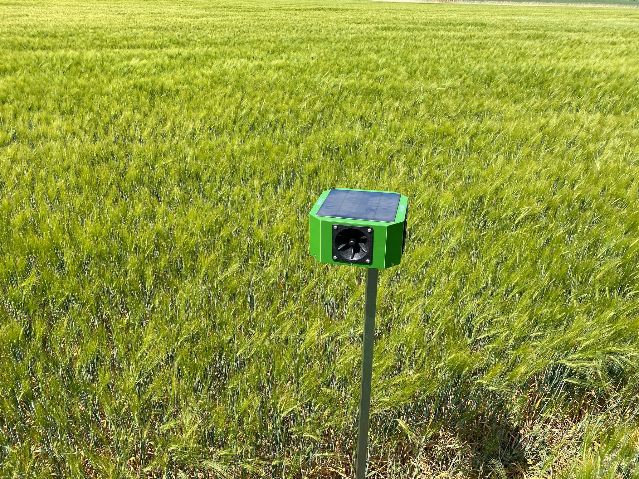 Odstraszacz ultradźwiękowy Doxmand VR4