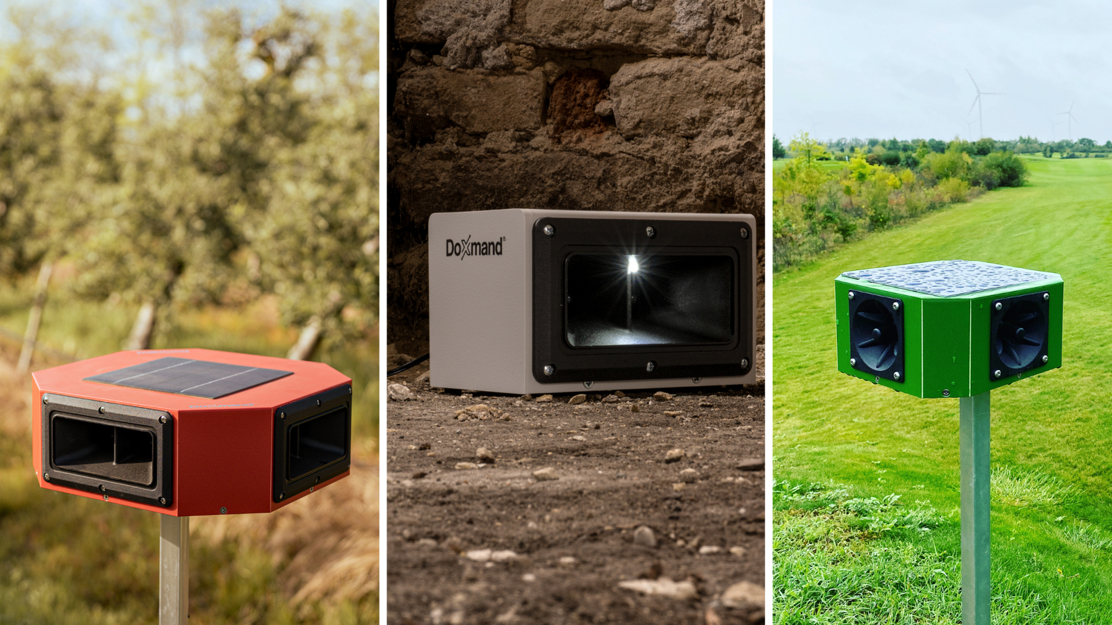 Nasze popularne produkty