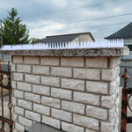 Kolce na ptaki – przeciwko ptakom, kunom i kotom [opakowanie 12 sztuk]