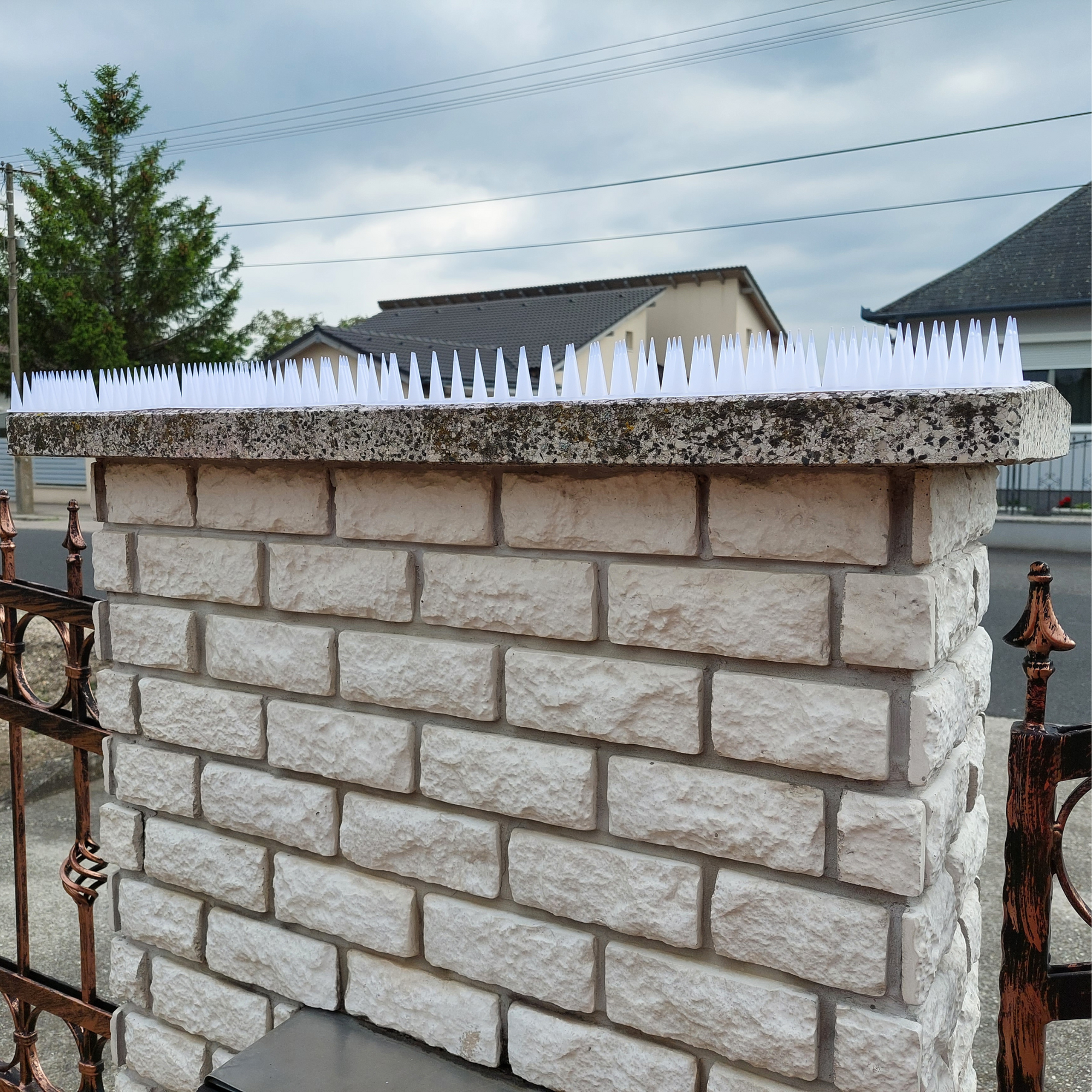 Kolce na ptaki – przeciwko ptakom, kunom i kotom [opakowanie 12 sztuk]