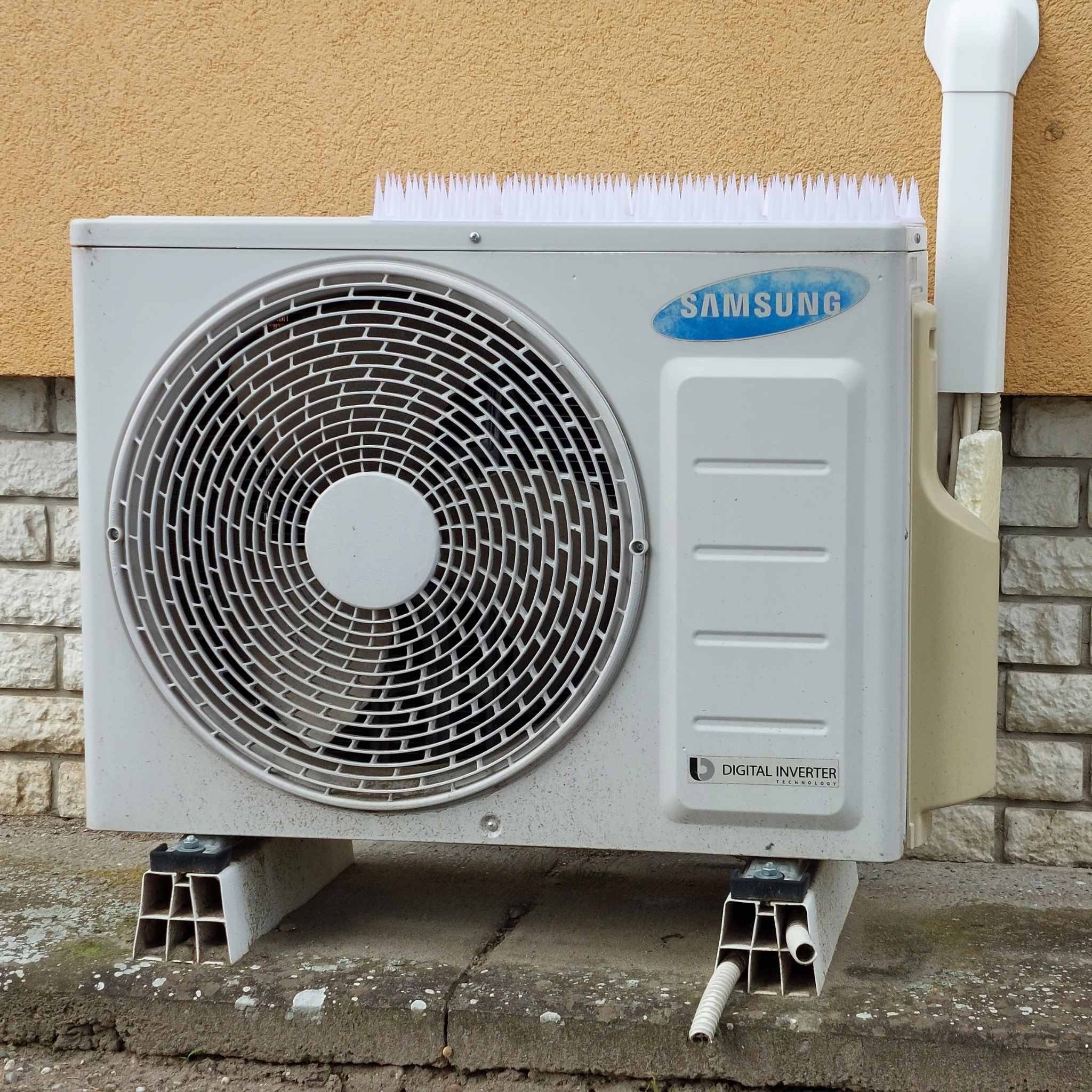 Kolce na ptaki – przeciwko ptakom, kunom i kotom [opakowanie 12 sztuk]