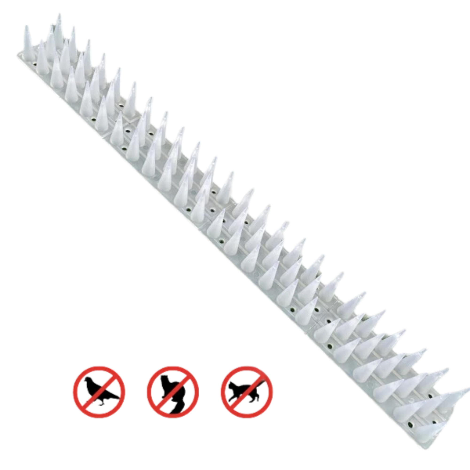 Kolce na ptaki – przeciwko ptakom, kunom i kotom [opakowanie 12 sztuk]