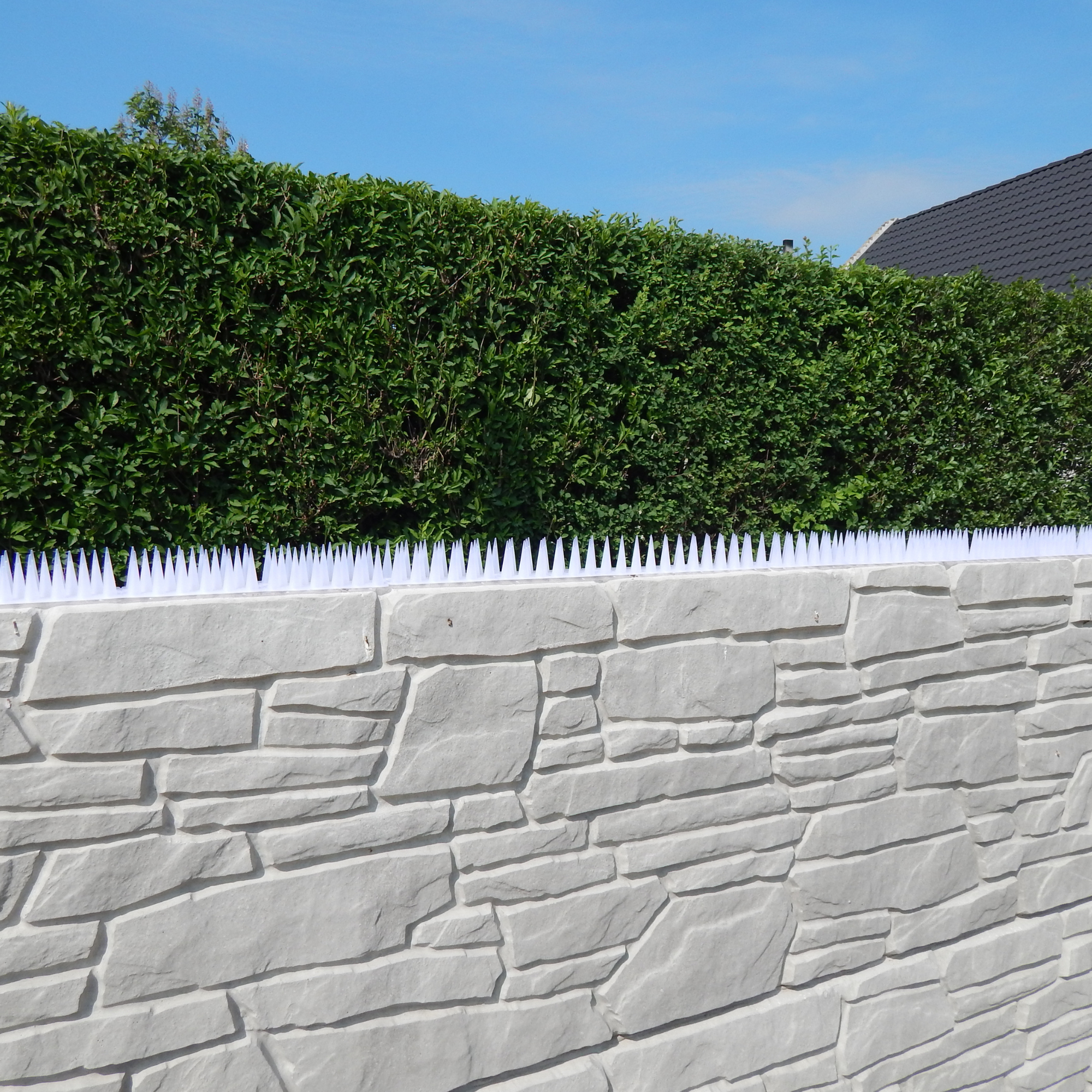 Kolce na ptaki – przeciwko ptakom, kunom i kotom [opakowanie 12 sztuk]